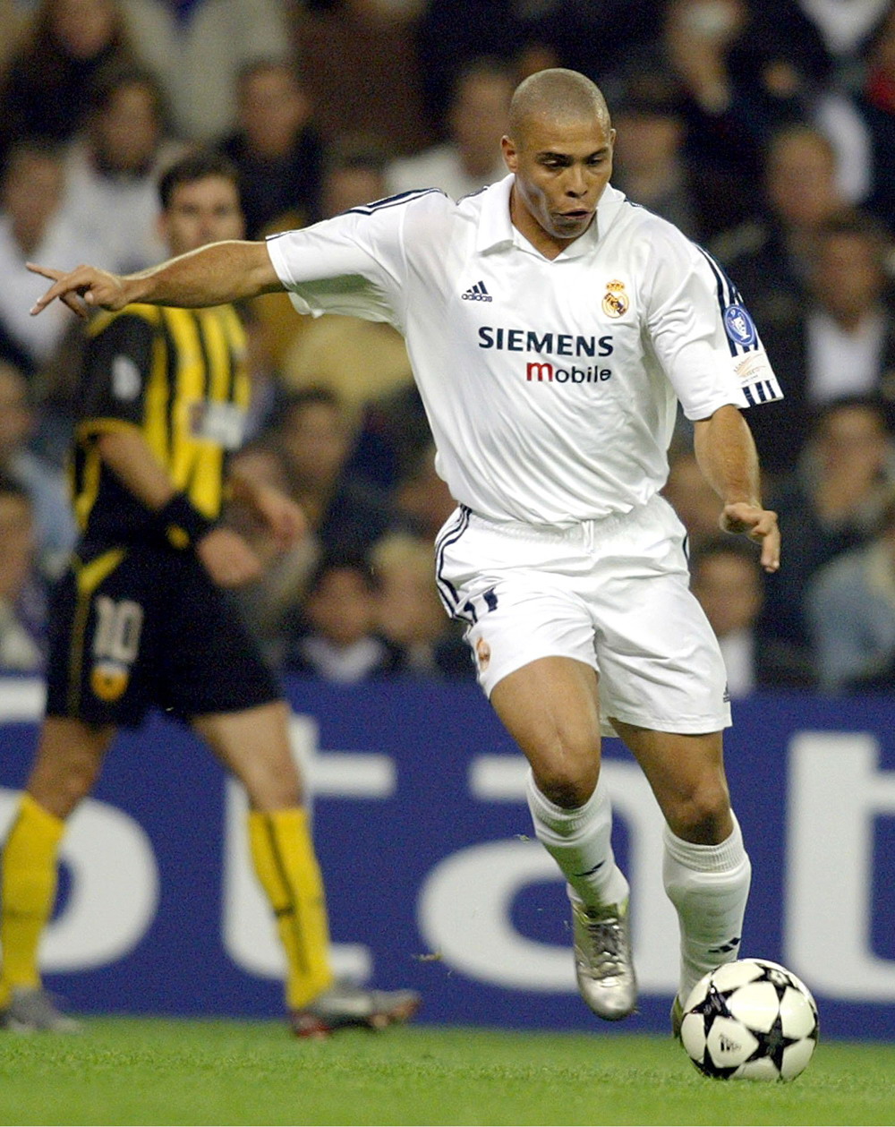 这种源自欧 这种源自欧